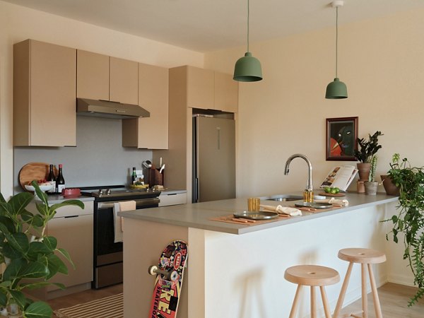kitchen at Ray Philly Apartments 