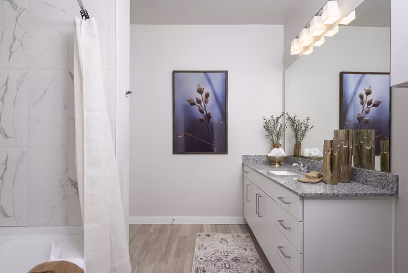 bathroom at Prose Canopy Apartments