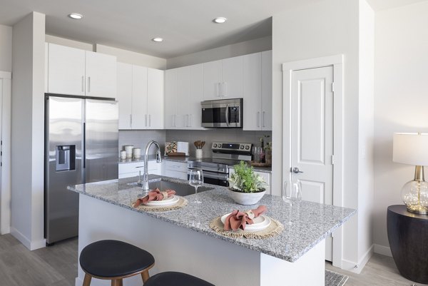 kitchen at Prose Canopy Apartments