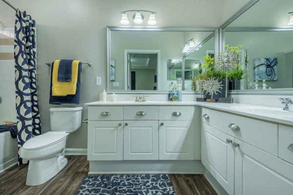 bathroom at The Lex at Brier Creek Apartments