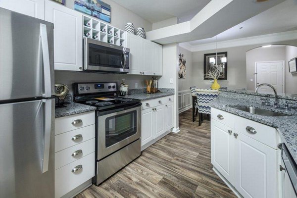 kitchen at The Lex at Brier Creek Apartments