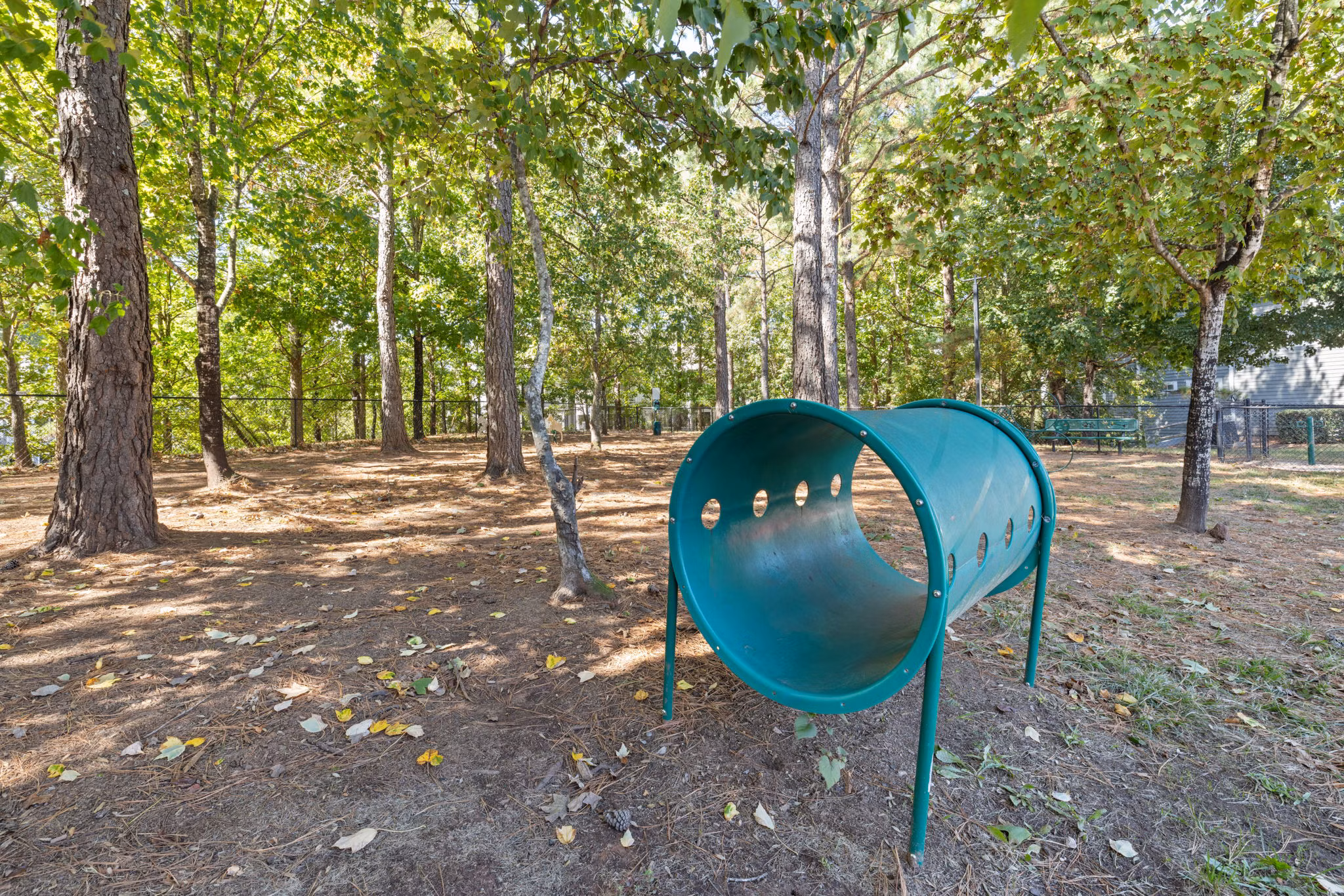 recreational area at The Lex at Brier Creek Apartments 