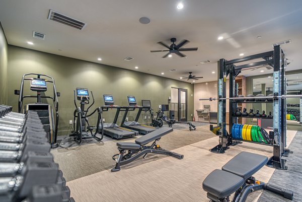 fitness center at Alexan at the Galleria Apartments