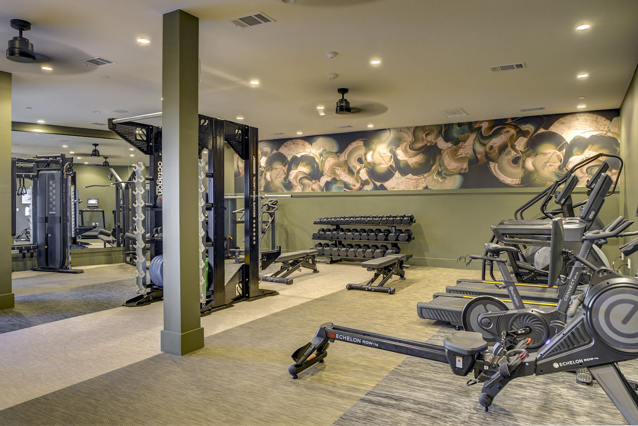 Gym at Alexan By The Galleria (5 of 5)