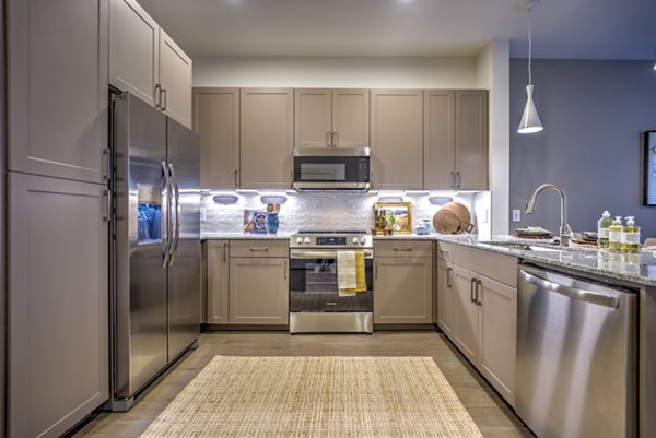 kitchen at Alexan at the Galleria Apartments