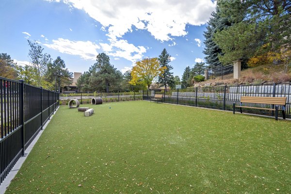 dog park at The Charles Denver West Apartments