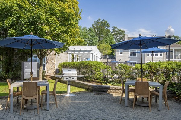 grill area at Riverwood at New Canaan Apartments
