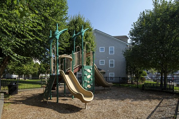 playground at Riverwood at New Canaan Apartments