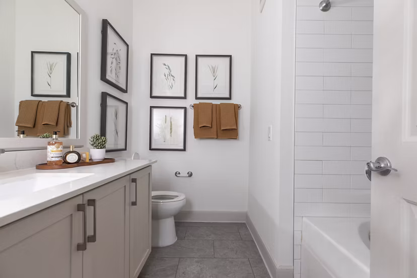 BATHROOM at The Briscoe River Oaks Apartments