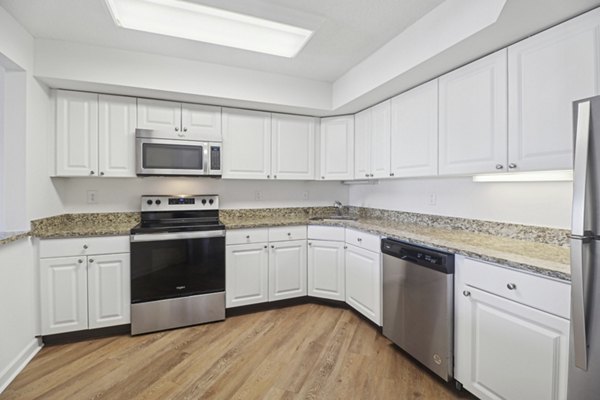 kitchen at NorthXNorthwest Northwest Tower Apartments