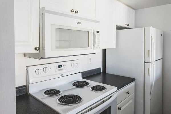 kitchen at NorthXNorthwest Northwest Tower Apartments