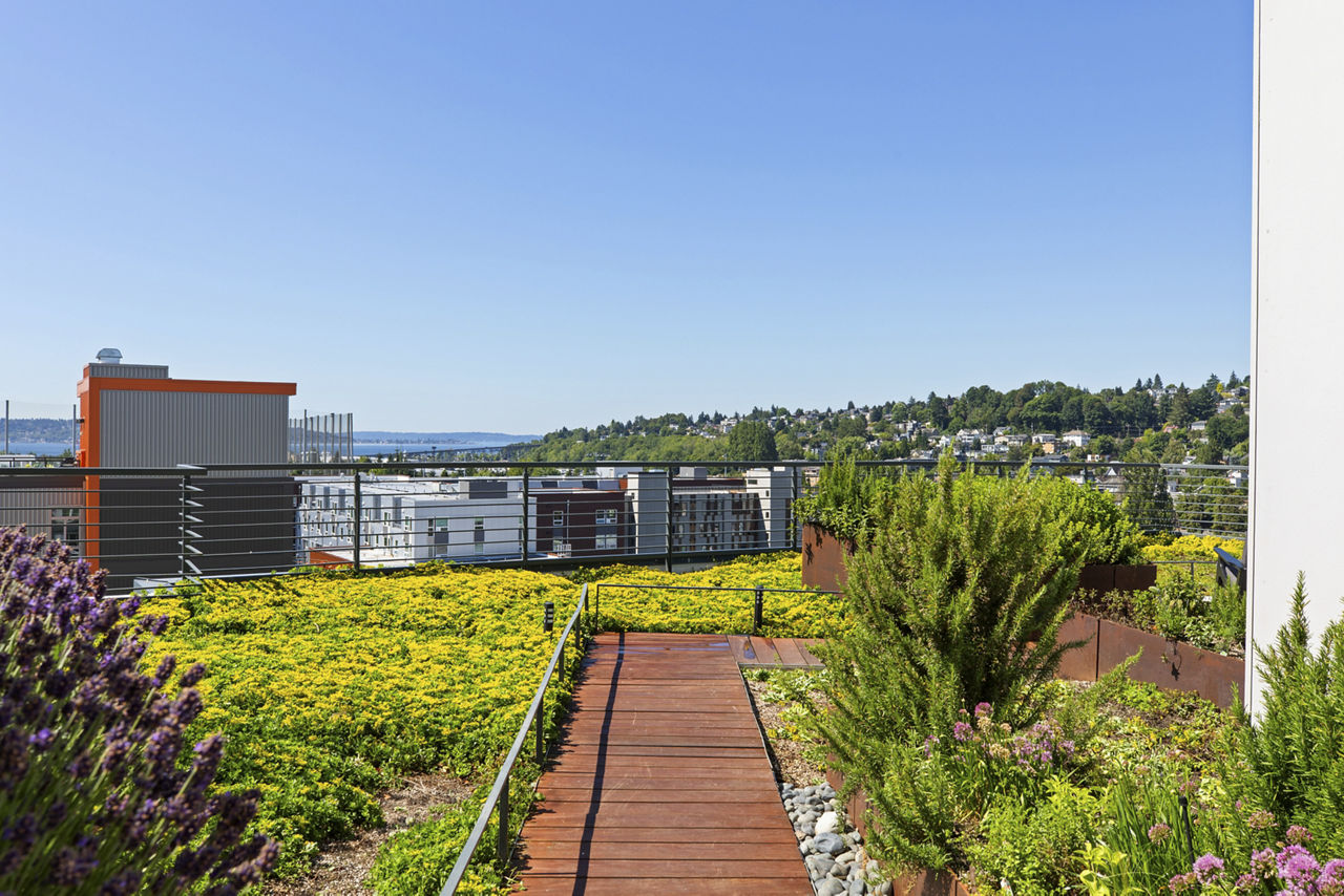 Roof deck at Axle