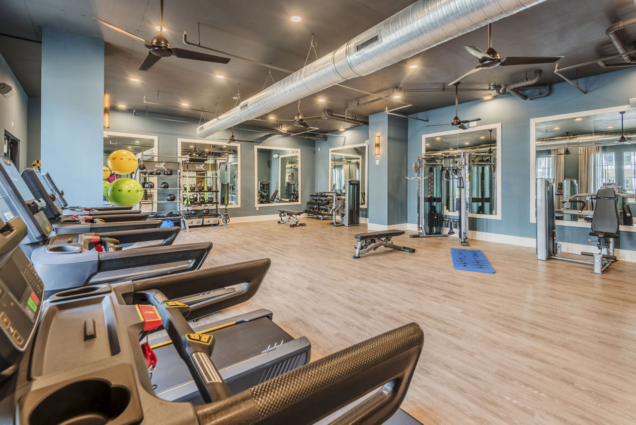 Gym at Artizia At Loso Apartments (1 of 3)