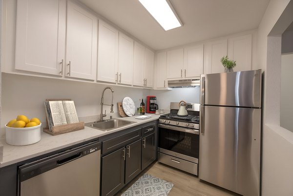 kitchen at Skyview Apartments