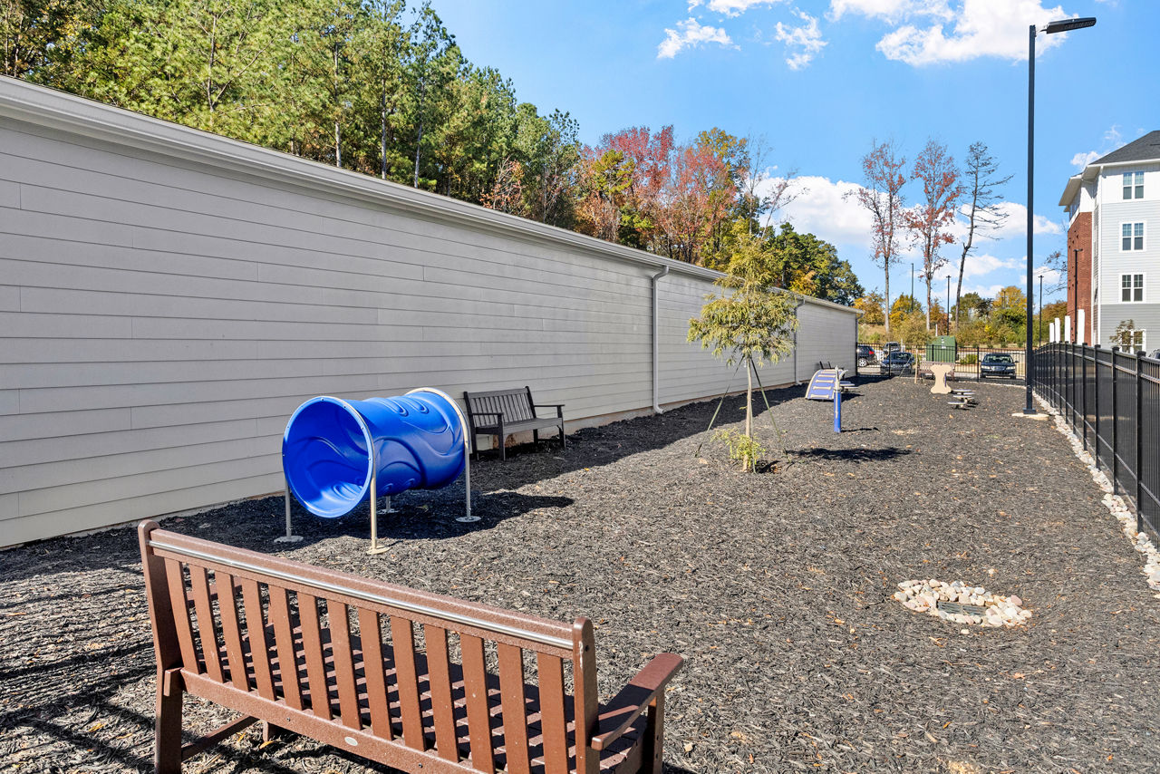 Dog park at Album