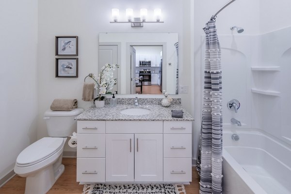 bathroom at Arden at Huntersville Apartments