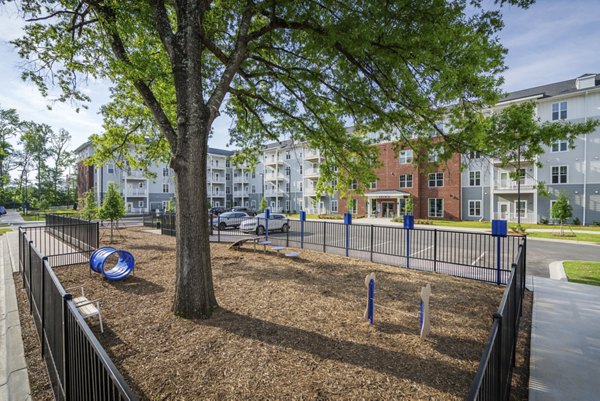 playground at Arden at Indian Land Apartments