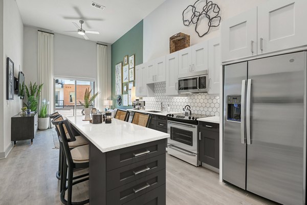 kitchen at Alta Magnolia Apartments