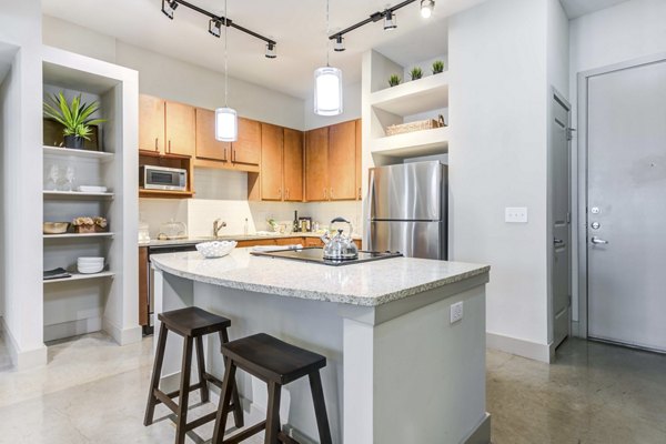 kitchen at Lakeshore Lofts Apartments