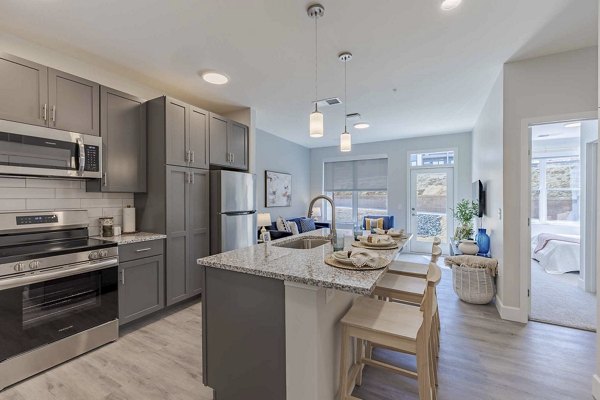 kitchen at The Rosewater Apartments
