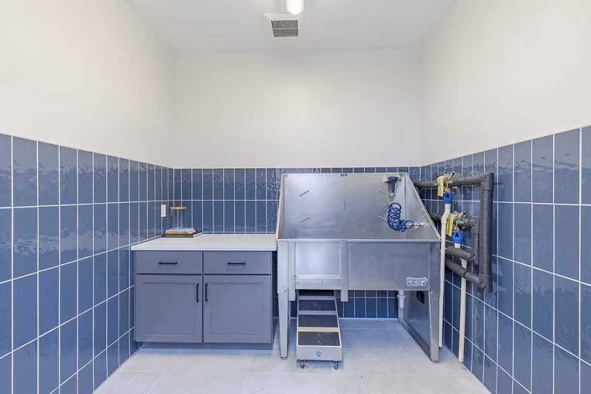 dog wash station at The Rosewater Apartments