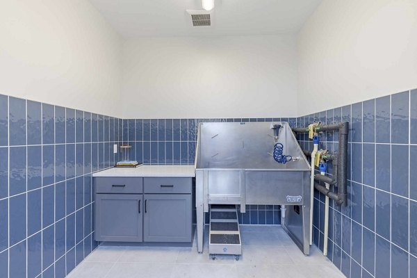 dog wash station at The Rosewater Apartments