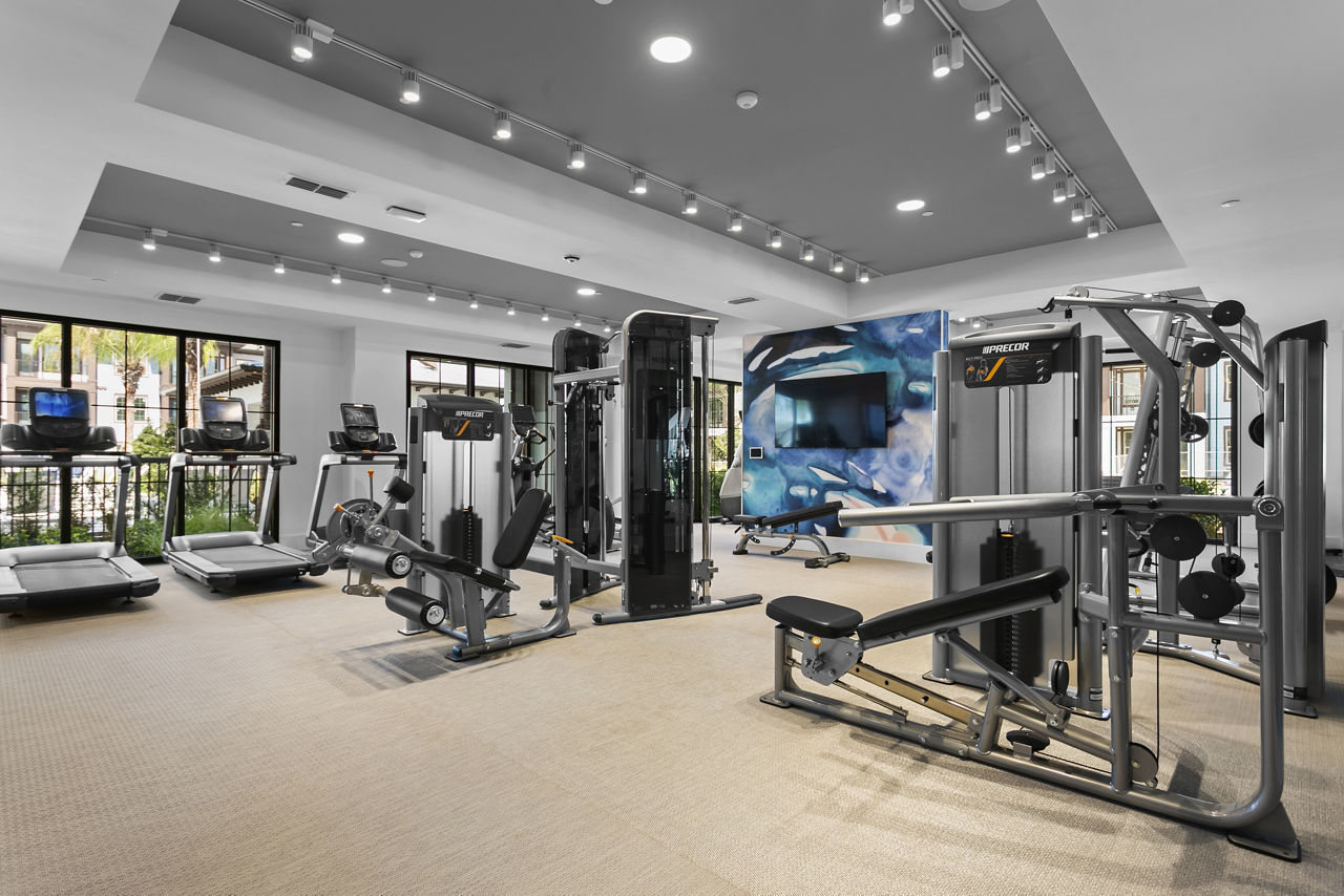 Gym at Arabelle Clearwater (2 of 2)