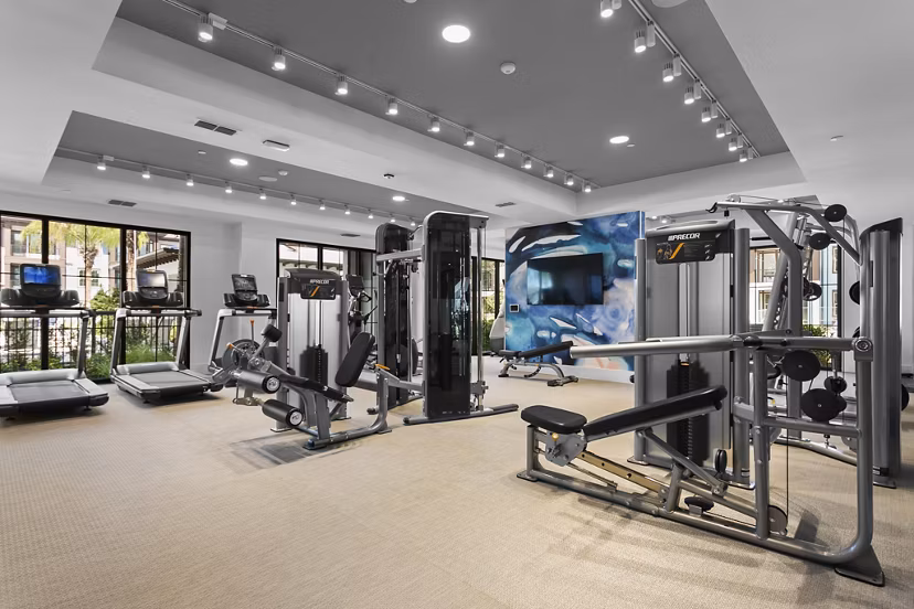 fitness center at Arabelle Clearwater Apartments