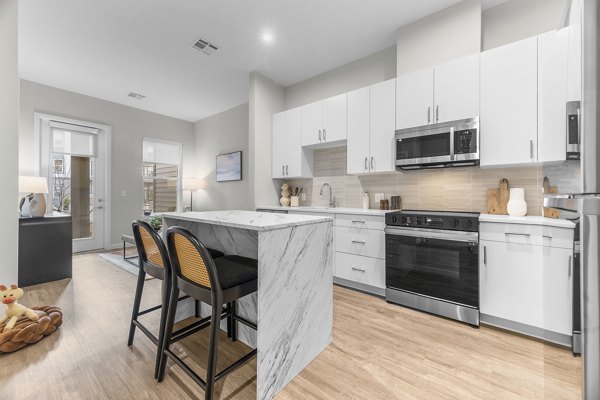 kitchen at Alta French Hill Apartments