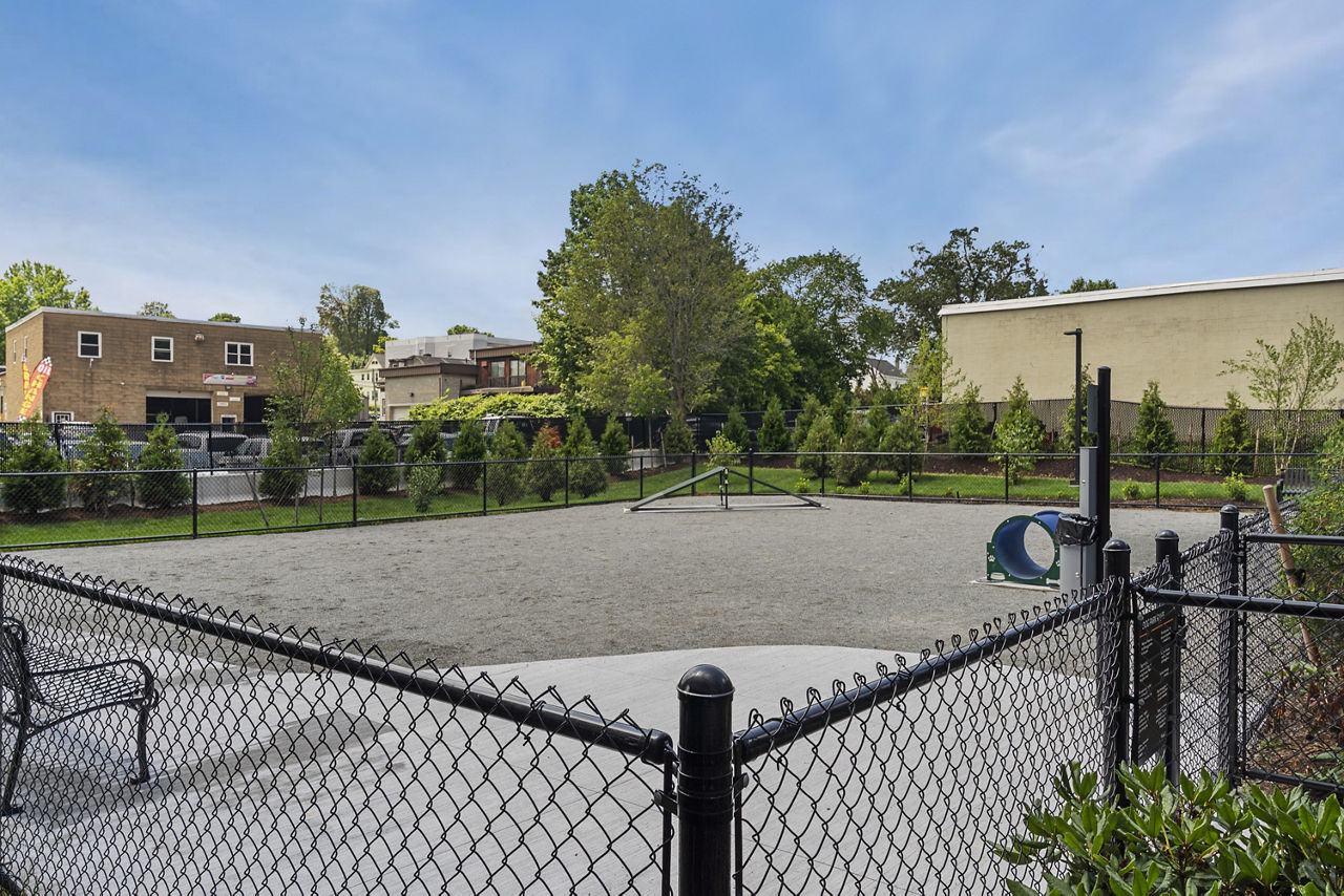 Dog park at Alta French Hill