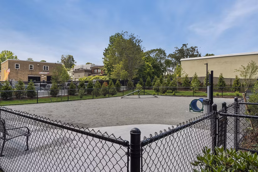 dog park at Alta French Hill Apartments