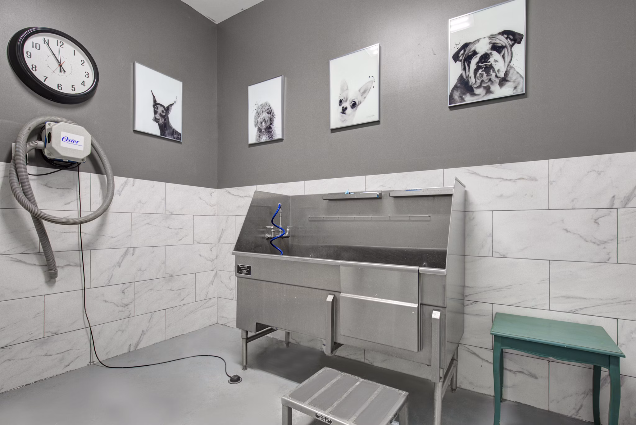dog wash station at The Porter Brewers Hill Apartments 