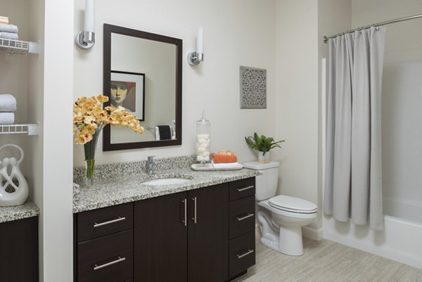 bathroom at Avana East Main Apartments 