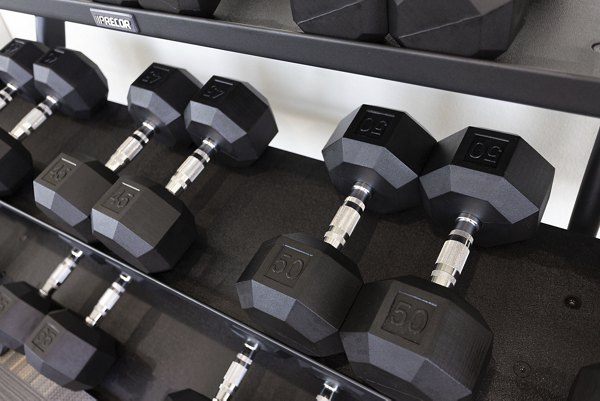 fitness center at Prose Decker Lake Apartments