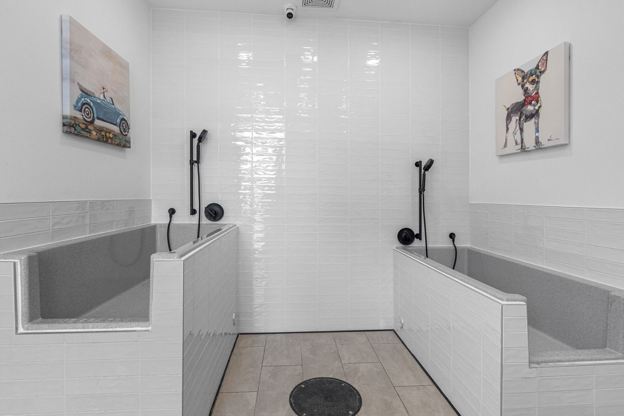 Pet wash at Solena Miramar