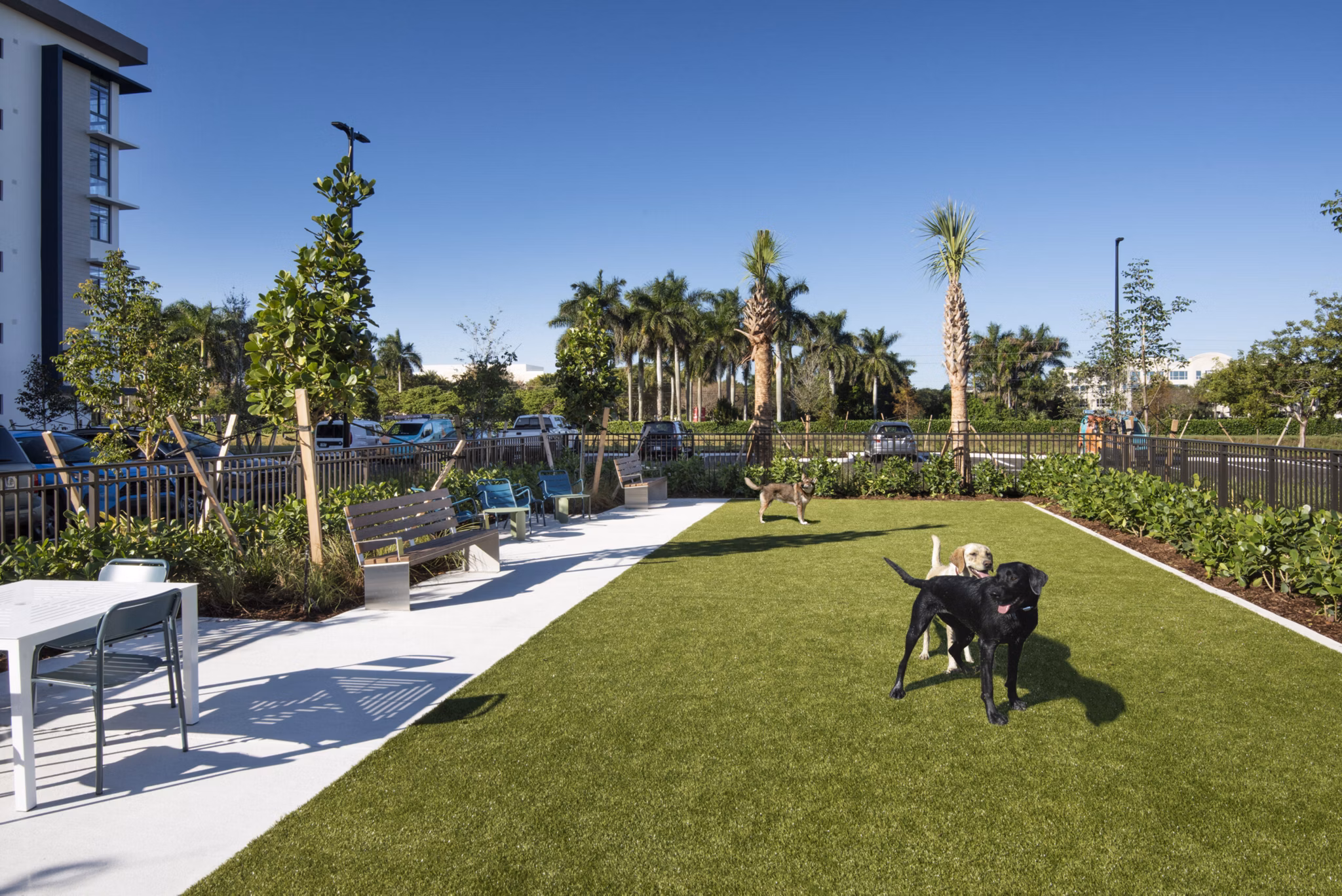 dog park at Solena Miramar Apartments