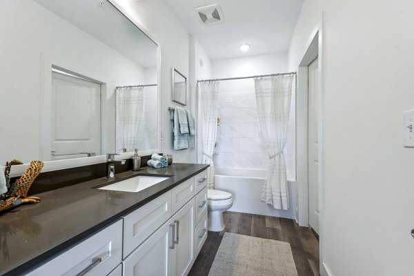 bathroom at Selene at Sayebrook Apartments