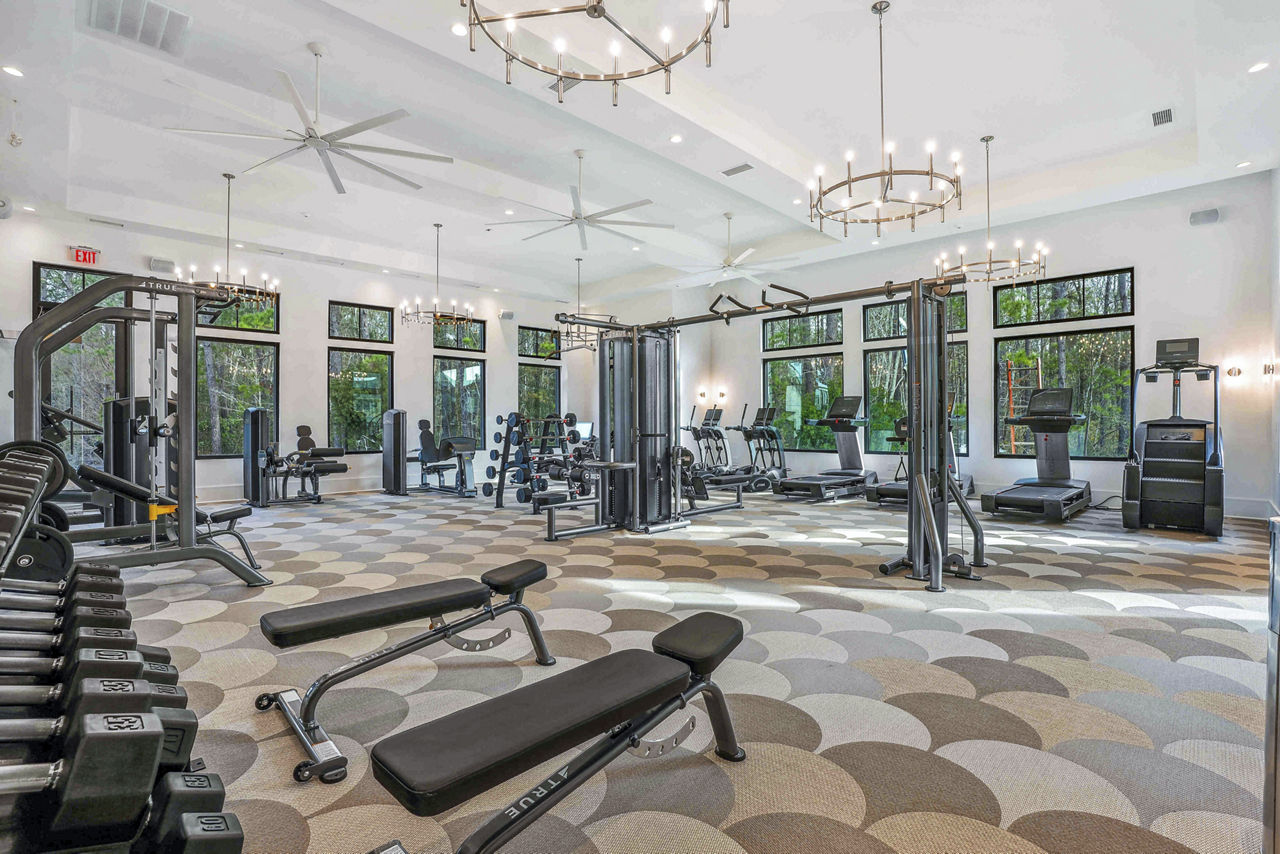 Gym at Selene At Sayebrook Apartments (2 of 4)