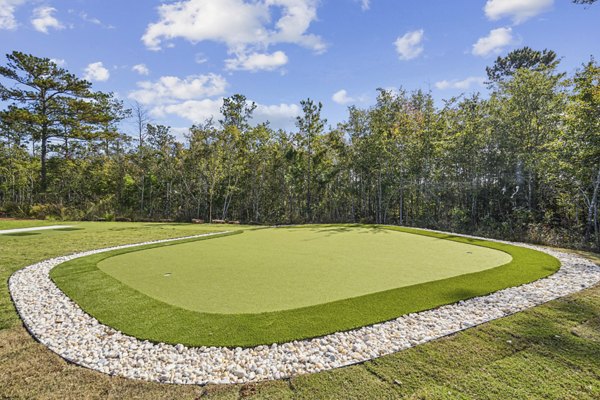 Recreational Area at Selene at Sayebrook Apartments