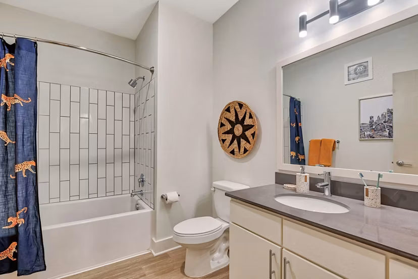 bathroom at Connection at Southside Apartments