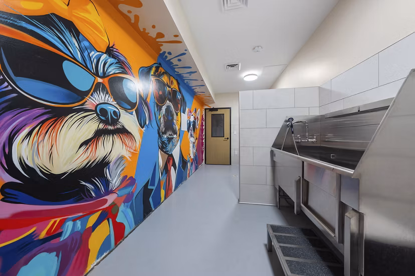dog wash station at Saiya Apartments