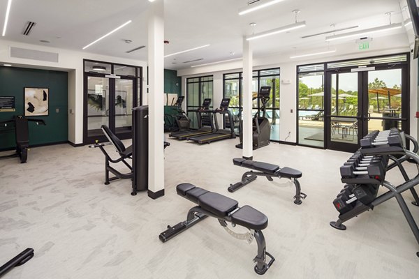 fitness center at Ava Oakwood Apartments 