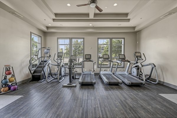 fitness center at Wiregrass at Stone Oak Apartments