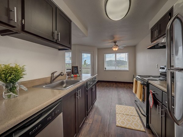 kitchen at Avana Powell Valley Apartments
