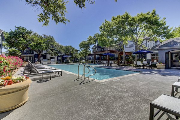 pool at NOAH Apartments Apartments