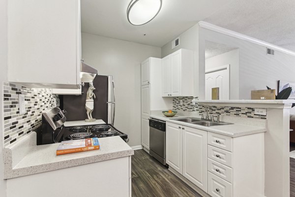 kitchen at Avana TownPark Apartments
