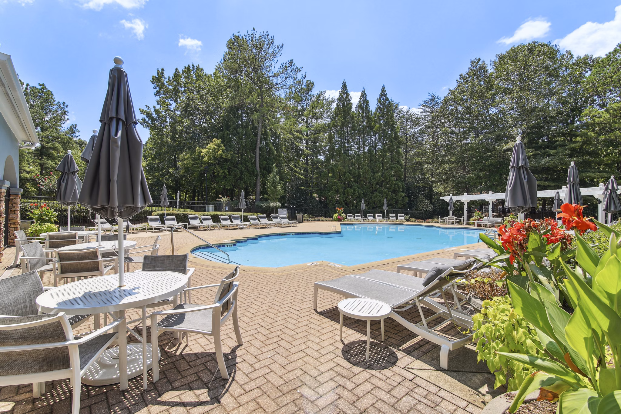 pool at Avana TownPark Apartments