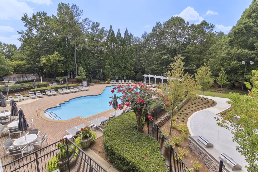 pool at Avana TownPark Apartments