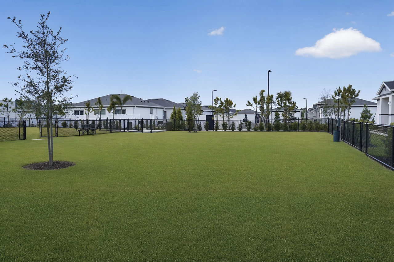 Dog park at Yardly Ellenton (1 of 6)