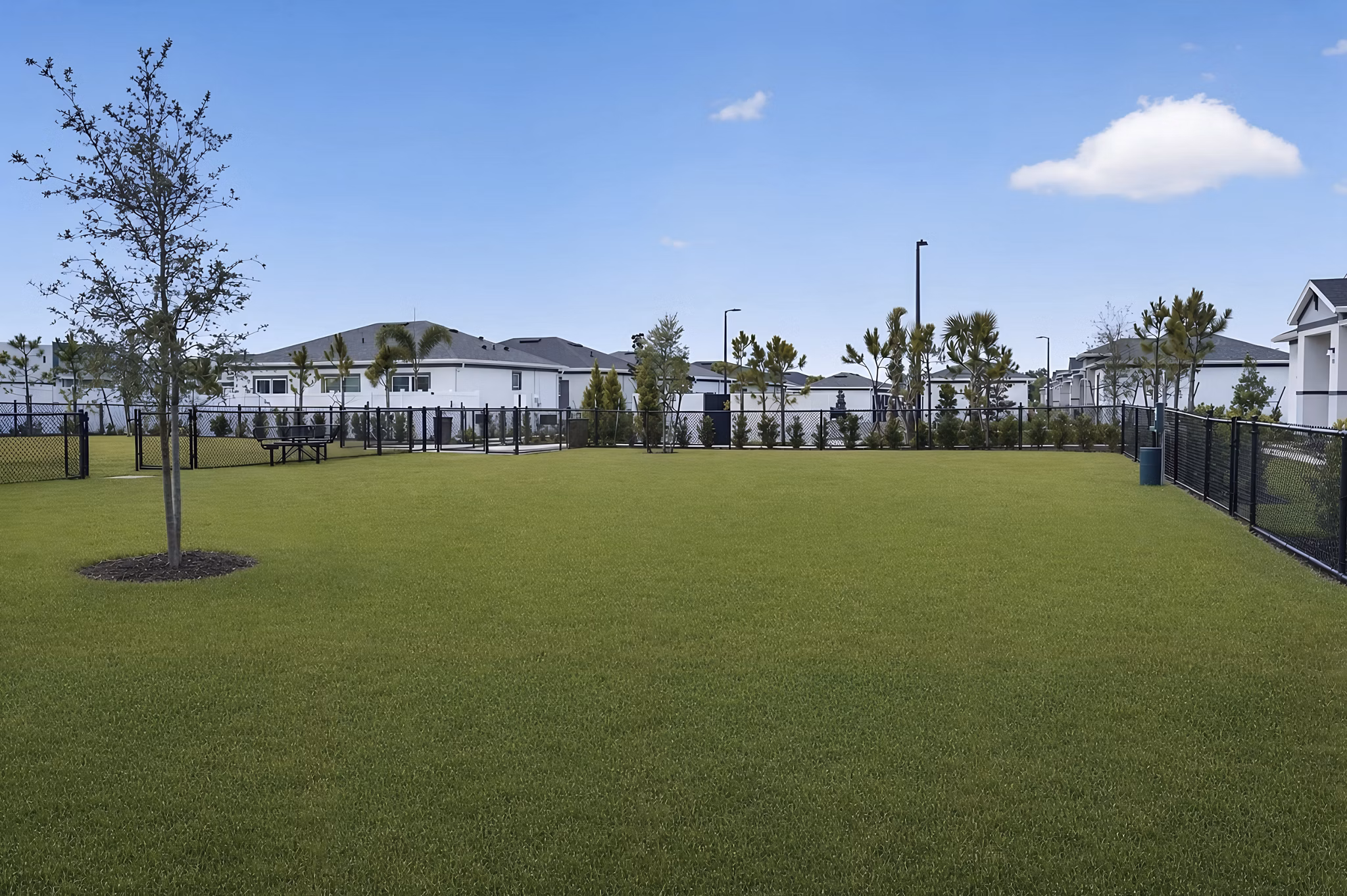 dog park at Yardly Ellenton Apartments 